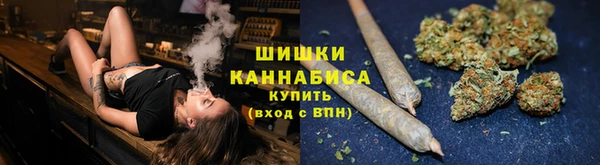 гашик Горнозаводск