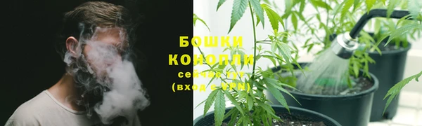 гашик Горнозаводск