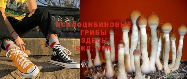 гашик Горнозаводск